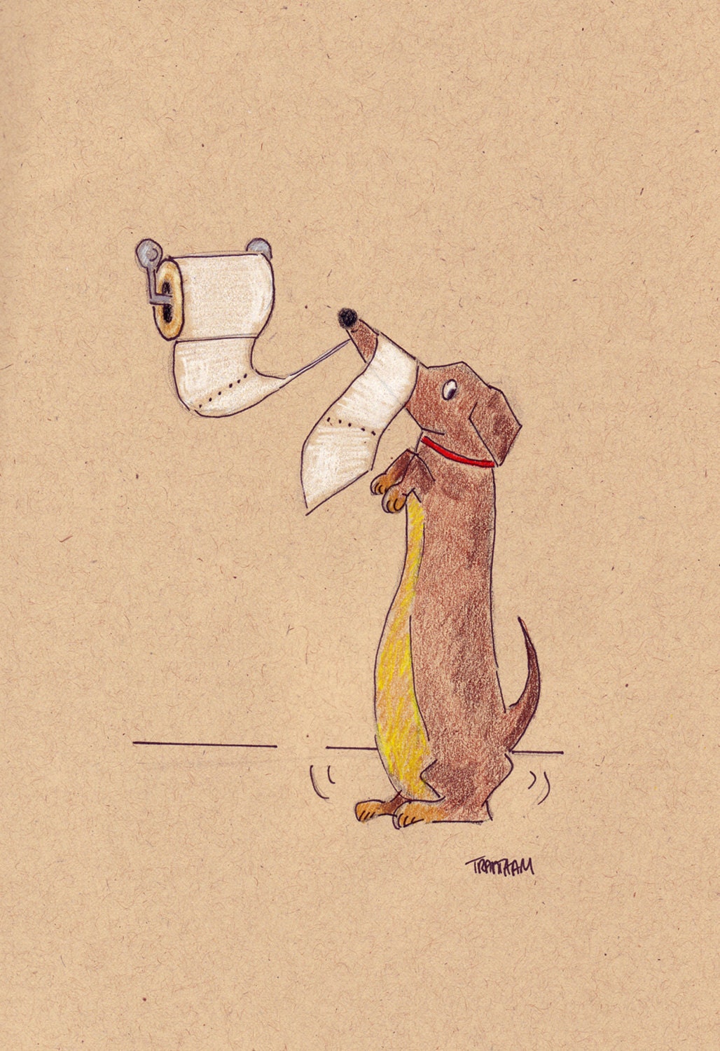 Dachshund TP Party About to Start