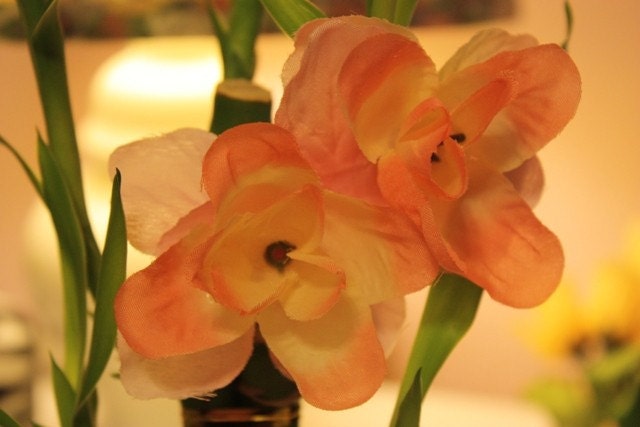 Summer Sunset VLV Pinup Coral and Pink Flower Clip