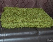 Instant Download Crochet Pattern- No 47 Cuddly Grass Prop Blanket  -
