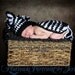 Cuddle Critter Cape - Striped Zebra - Newborn Photography Prop -