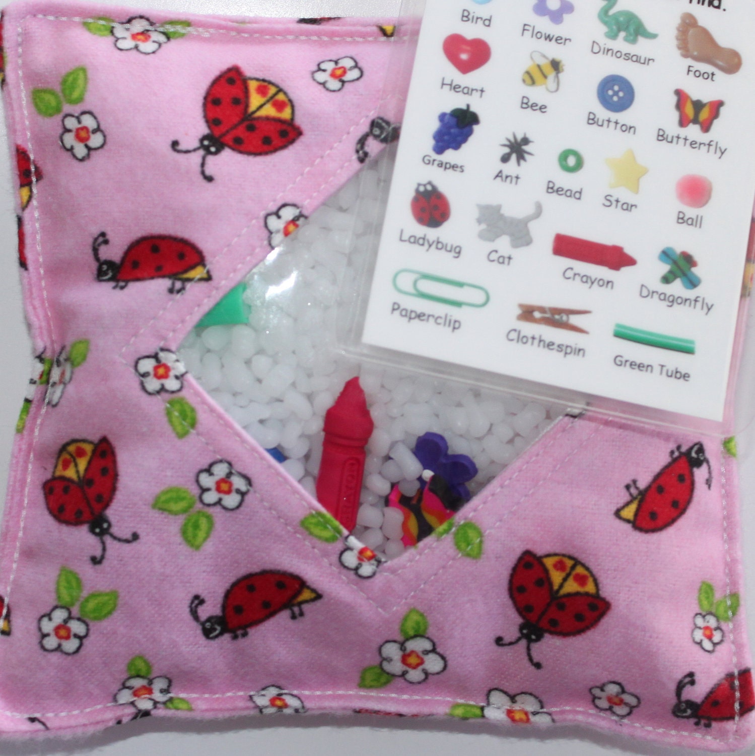 I Spy Bag - LOVELY LADYBUGS Treasure Hunt with Picture Card - All sells helps support our sports activities and summer camps.