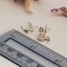 LION Stud Earrings Sterling Silver Mini Zoo series