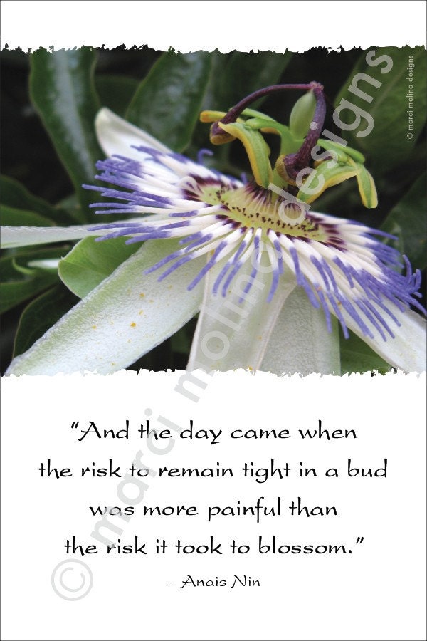 passion flower - inspirational photo art - anais nin quote - original photograph