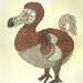 Pink Dodo Bird Screenprint 18x24
