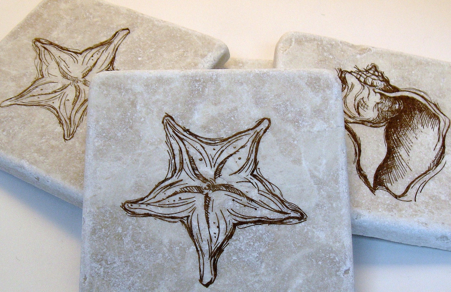 Sea Shells Coasters