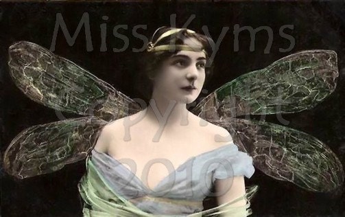 Dragonfly Fairy Vintage digital photo,altered image