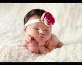 Darla's Chic BabyBand