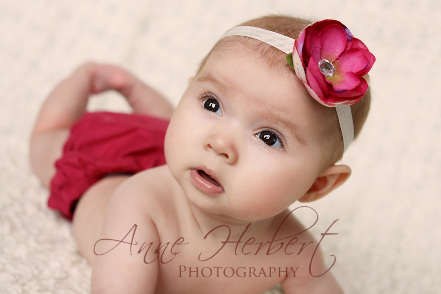 Darla's Chic BabyBand