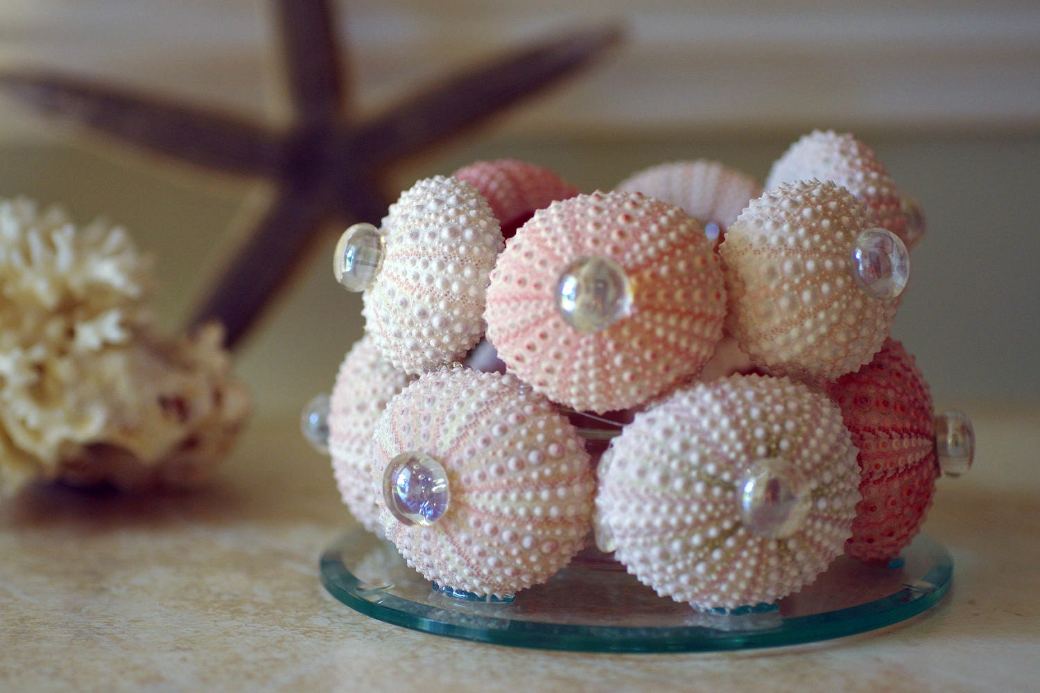 Beach Decor Sea Urchin Candleholder