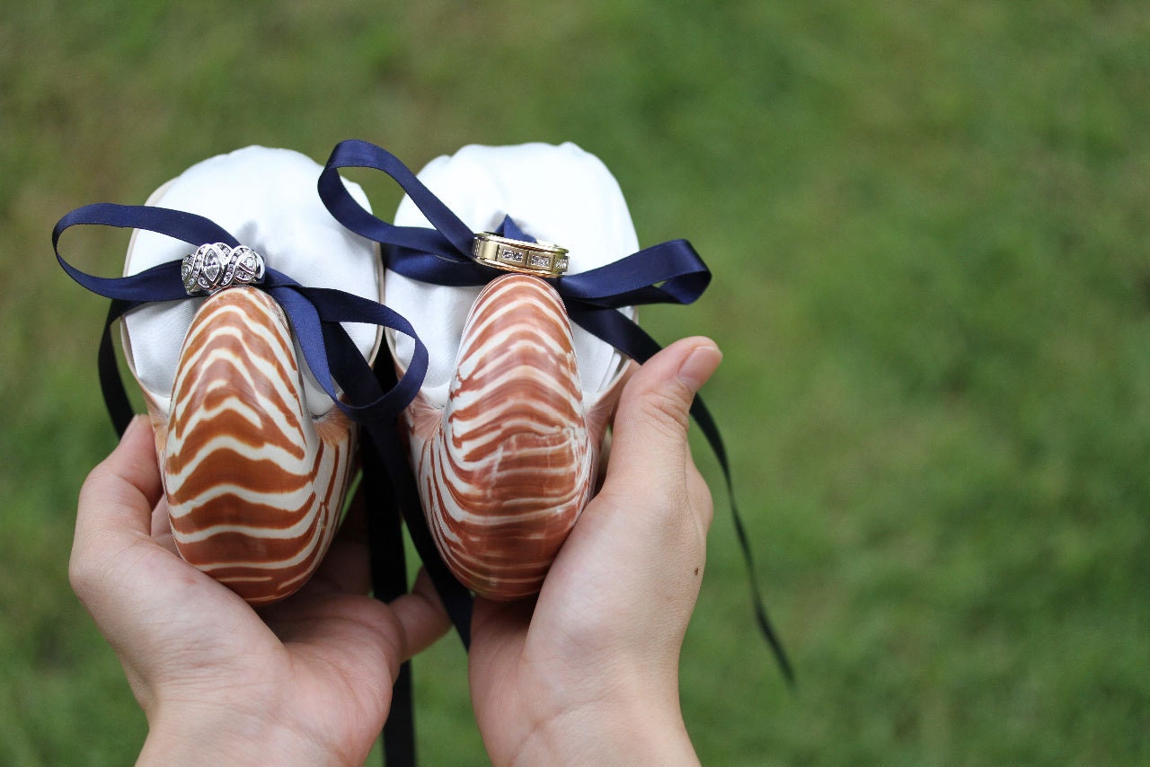 Beach Wedding Ring Bearer - Nautilus Shell Eco Ring Bearer Pillow