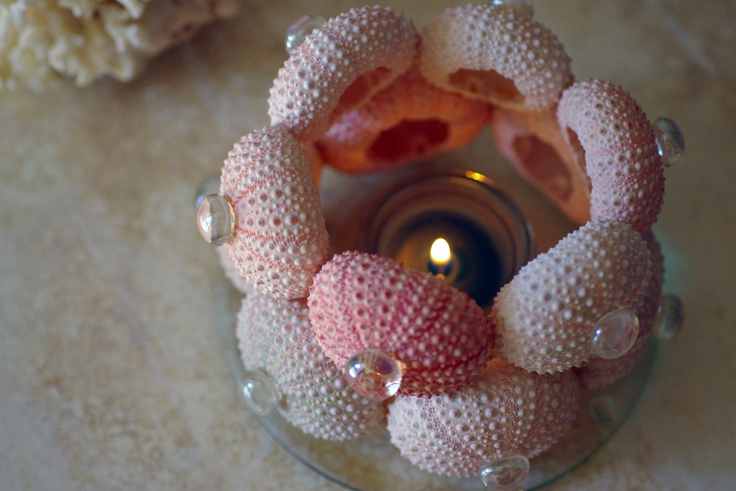 Beach Decor Sea Urchin Candleholder