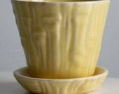 Vintage 3.75" Yellow McCoy Bamboo Planter - 1950's