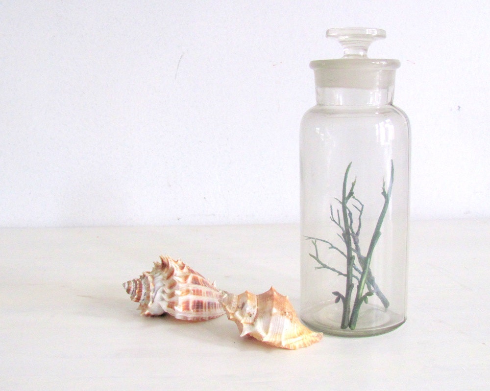 Antique Apothecary Jar Bottle Ground Glass Vintage Medical Bottle SALE - NifticVintage