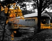 The LONG BRIDGE Home dreamy autumn leaves yellow decor artist signed black and white New England Fine Art Travel Photography print 11x17