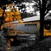 The LONG BRIDGE Home dreamy autumn leaves yellow decor artist signed black and white New England Fine Art Travel Photography print 11x17