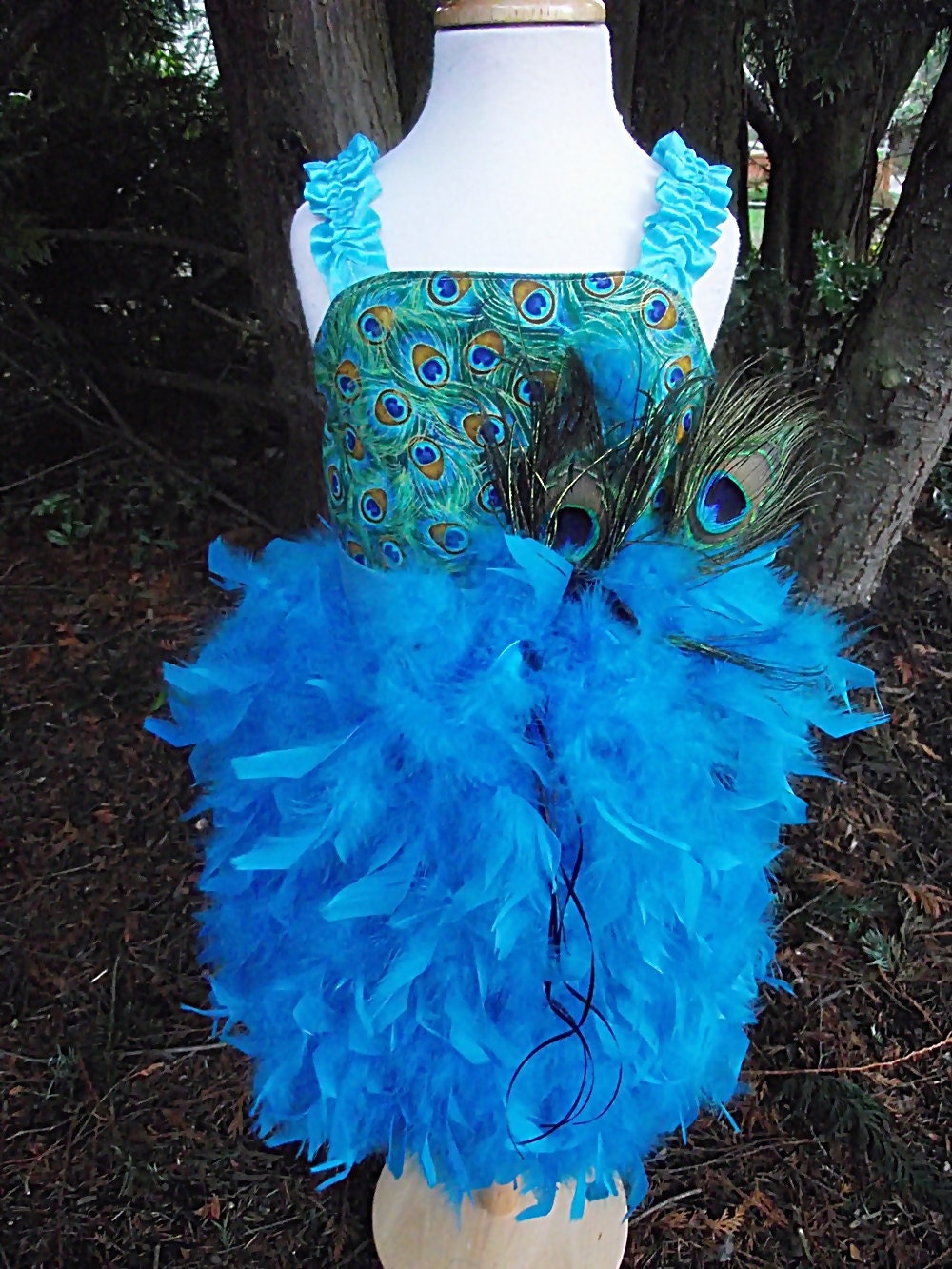 Metallic Peacock Dress