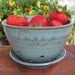 Fresh Berry Table Strainer Bowl and Water Catch Dish in Green EACH ONE UNIQUE