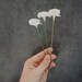 Set of 3 White Flowers - Decoration - Home decor - Wedding - Handmade by oenopia
