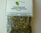 Yerba Santa (Eriodictyon californicum) - Holy Herb for incense, smudge, religious cleansing, and Native American ceremonies