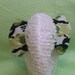 Adorable Chenille Stuffed Elephants