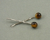 Eye of the Tiger Silver-Toned Hairpins (Set A)