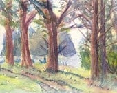 Trinidad City Park 03-1