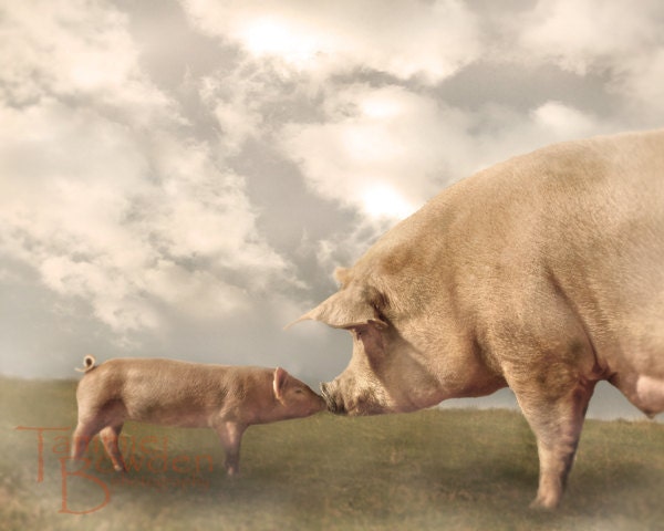 Mama Pig and Baby Piglet - Original Photograph 8x10 - Soft Sweet Nursery Decor Pastel Kids Wall Art Farm Animals