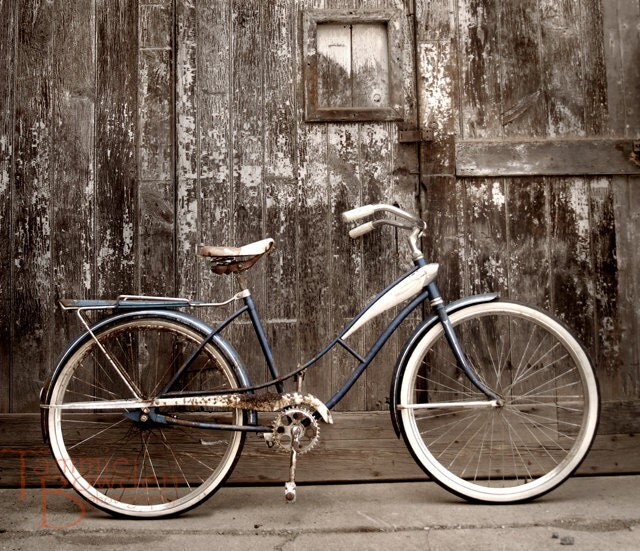 Bicycle - Original Photograph 8x10 - Rustic Distressed Decor Shabby Chic Cottage Home Bike