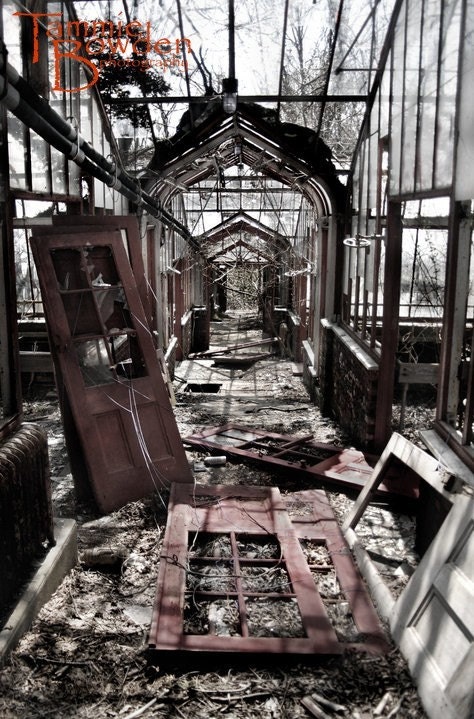 Abandoned Greenhouse - Original Photograph 8x10 - Muted Tones Titanium Grey Gray Ruins Unique Home Decor Wall Art