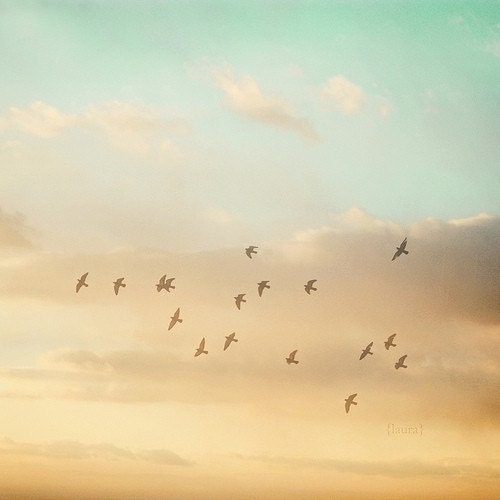 Skyscape photo-nature photo-Bird sky Photograph - Dreamy and Vintage Inspired - Baby Nursery - Home Decor - Fine Art Photo