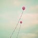 Cherry Blossom Tree, Nature Photography,  Botanical Photography,  Baby Nursery, Home Decor, Fine Art Photography  - "Serendipity"