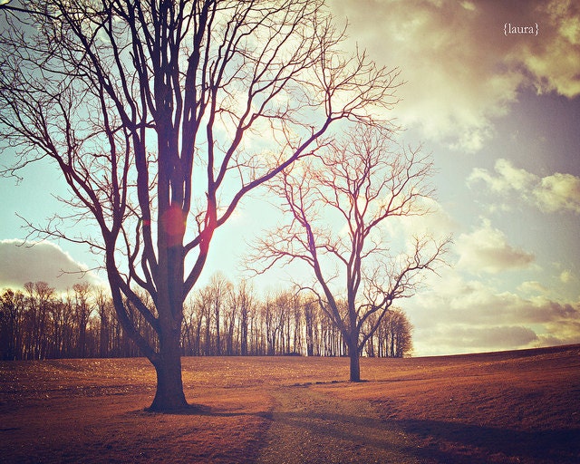 Landscape Photograph, Tree Photography, Vintage Inspired, Home Decor, Fine Art Photography 8x10 inches - "Warmth of Winter"