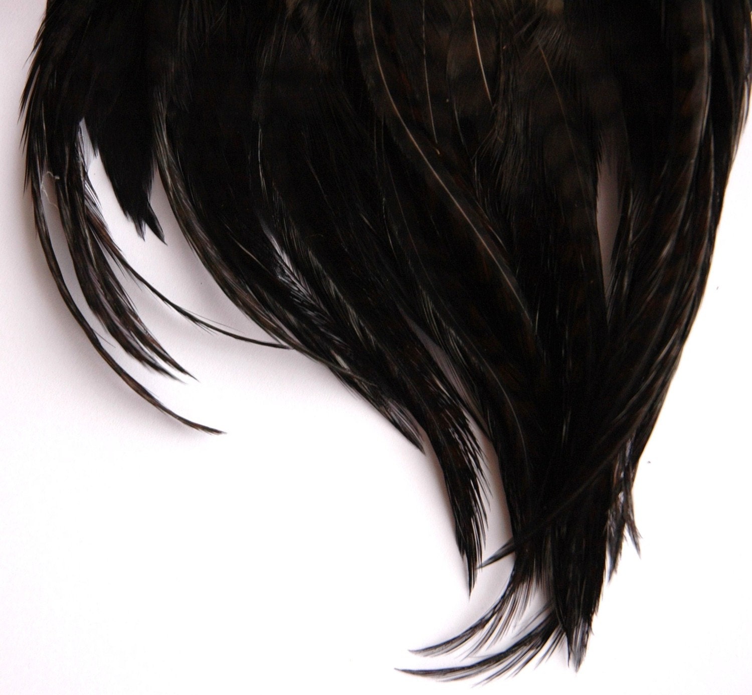 SALE 20-30 short black feathers (3-5 inches) - BLACK bulk lot - was 8 dollars
