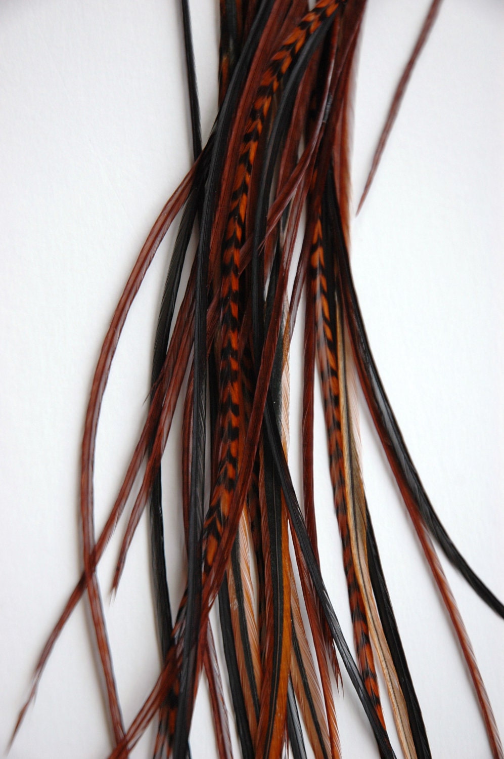 EXTRA LONG brunette feather hair extension mix (10-14 inches) feather hair extension lot  with FREE crimp beads