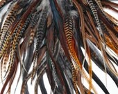 feather hair extensions LONG THICKER bared ginger feather mix (7-10 inches) - hair extensions
