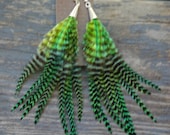 Short feather earrings - pretty emerald green grizzly feathers
