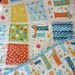 Hot Diggity Dog............A Fray Edge Quilt