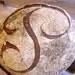 Gluten Free Authentic San Francisco Sourdough Bread Starter