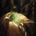 Organic Butterfly - Woodland Feather Kanzashi Fascinator Hairpiece
