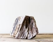Natural Driftwood