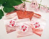 Natural Mineral Makeup Sampler with Tool