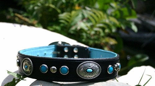 Ready to Ship Black or White and Turquoise Leather Dog Collar