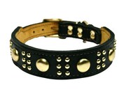 Leather Dog Collar Retro Style Black Brass