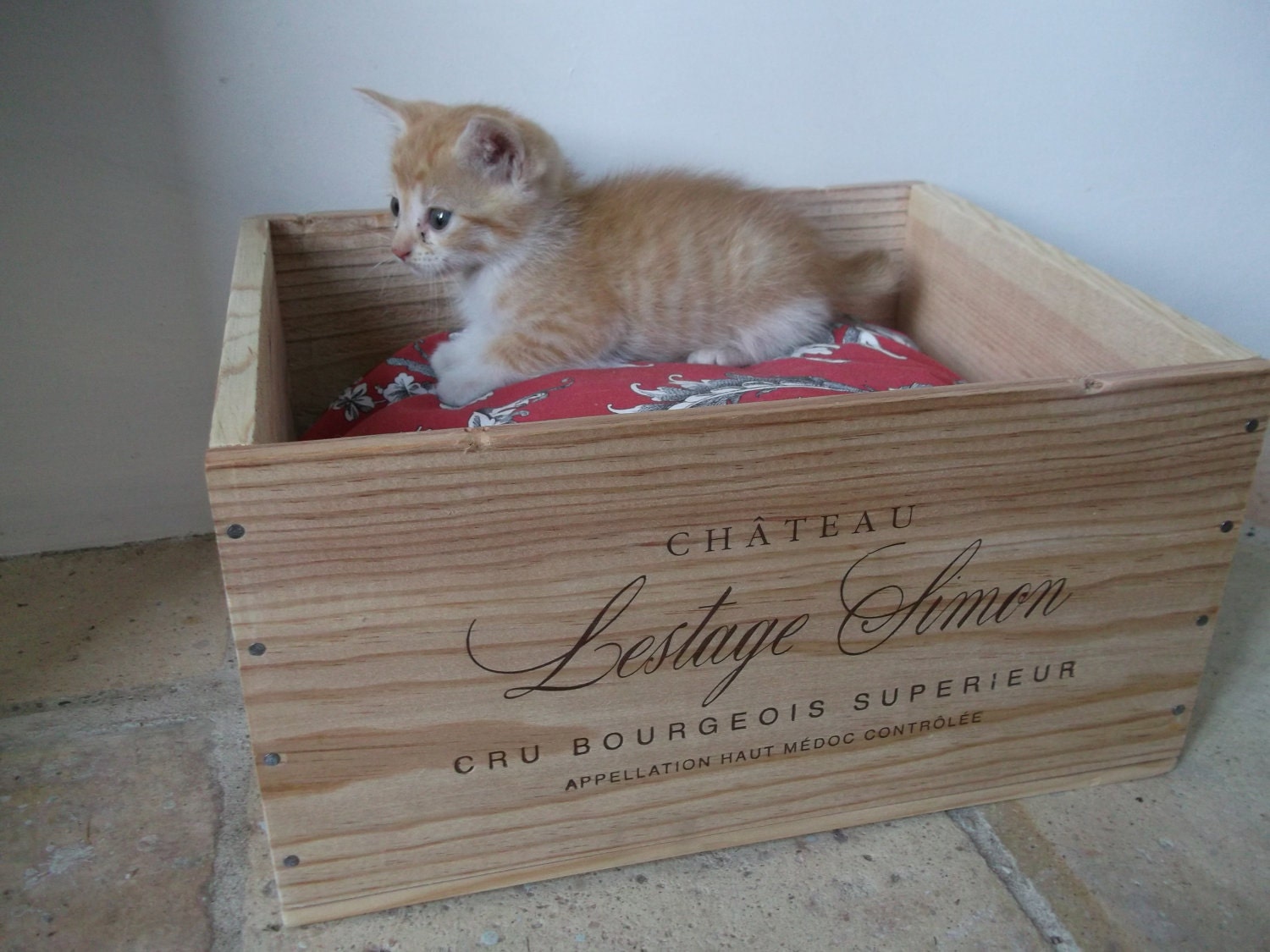SALE Small Authentic French Wine Crate Cat Bed