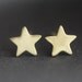 14kg Super Star Earrings