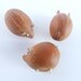 Pigs - Vintage, Pecan