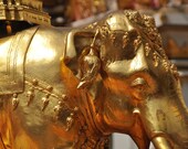 Golden Thai Elephant