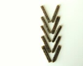 Cinnamon Coffee Bean Travel Soap - Adventure Sticks - Soap To Go. - Travel Size Soap Sticks - prunellasoap