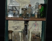 Apothecary III Mixed Media Shadowbox Assemblage