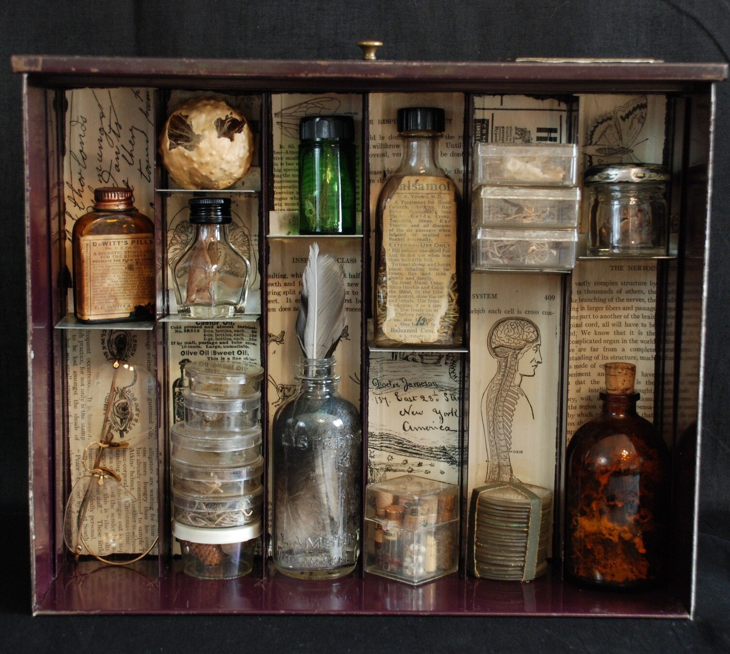 Apothecary Mixed Media Shadowbox Assemblage Complimentary Shipping